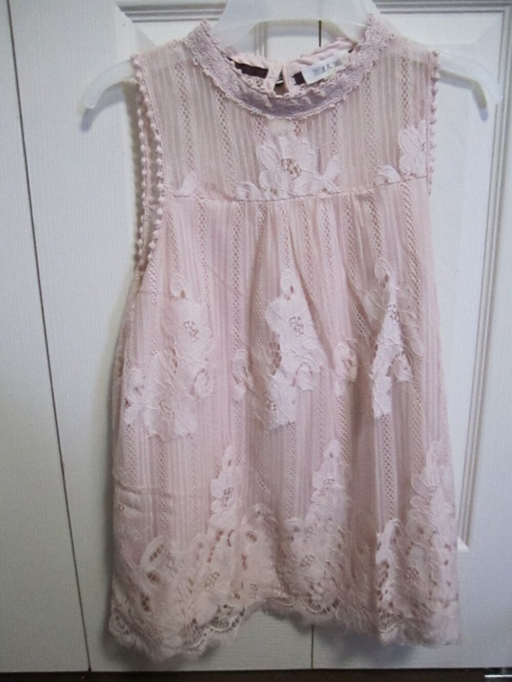 Taylor & Sage Romantic Pink Sleeveless Lined Lace Top
